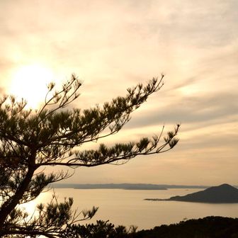 山頂到着❣️
景色よりおやつ🍘に夢中
今日のおやつは、かぼちゃパンと柿😋