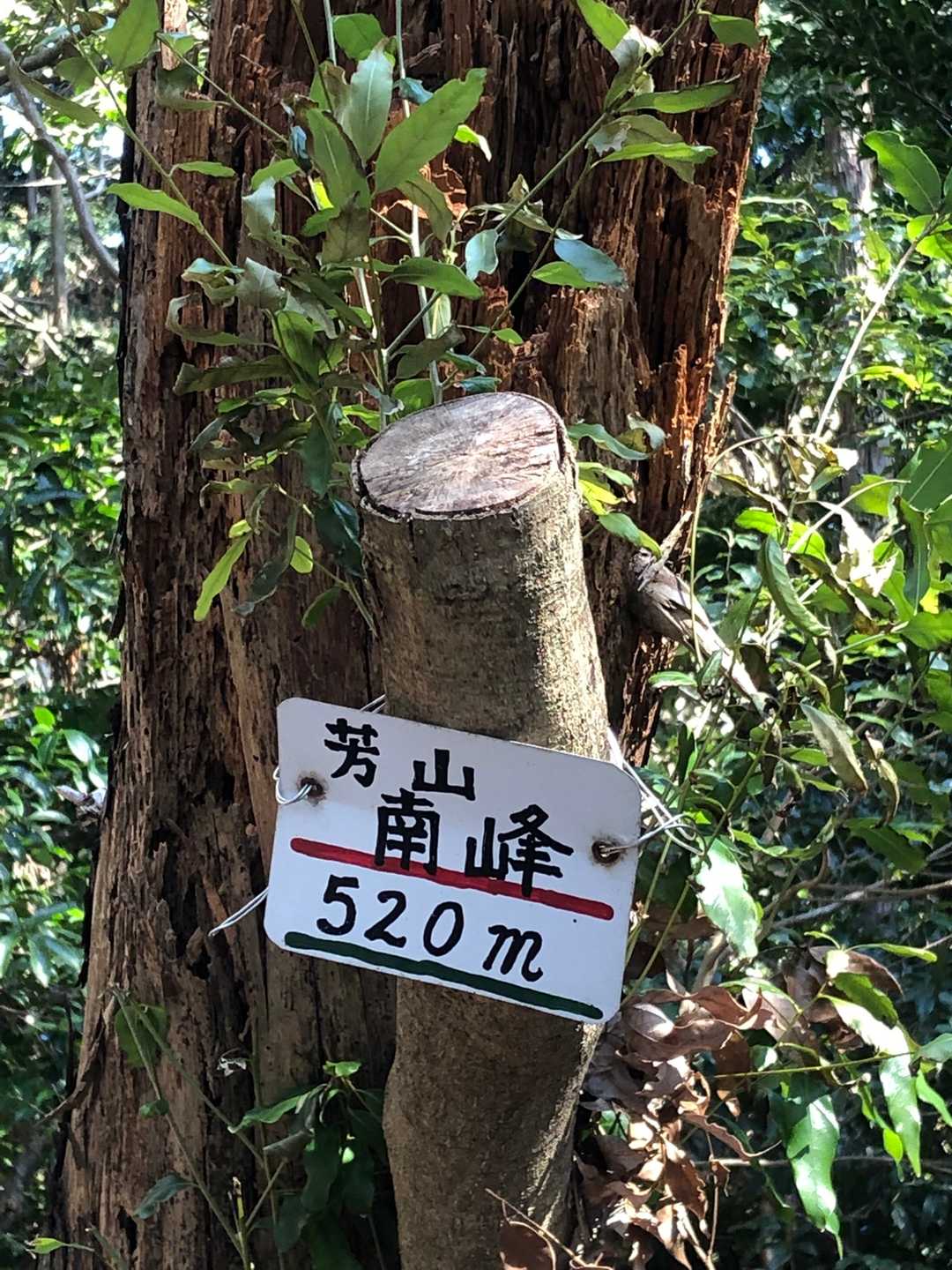 まずは、
芳山　南方です。