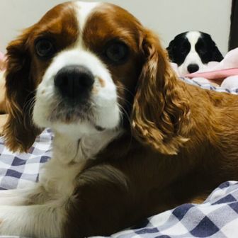 タイムとマリー