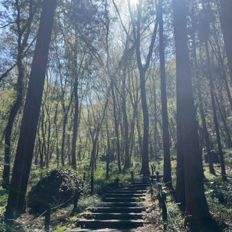 木漏れ日がキレイ✨
久しぶりの快晴🌞
半袖で良いくらいの暑さ💦