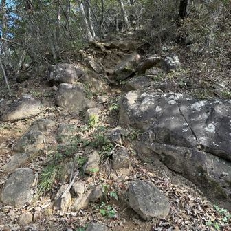 ちょっとした岩場もあり