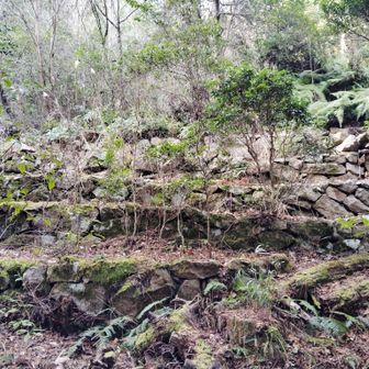 此方の石垣も綺麗な形で残っており、とってもゴイゴイスーね！😉