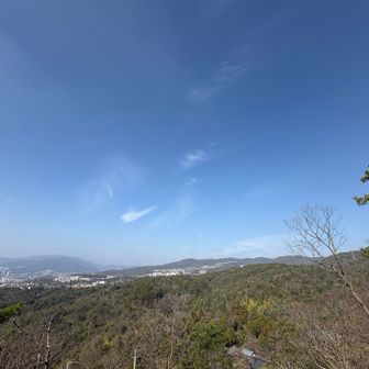 早速景色良き🤗

奥に見えるぴょこっとなったお山が中山最高峰らしい⛰️

その奥左手は六甲山系⛰️まだ登った事はない。今年中には登りたいなぁ😘