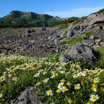 三俣蓮華岳をバックに