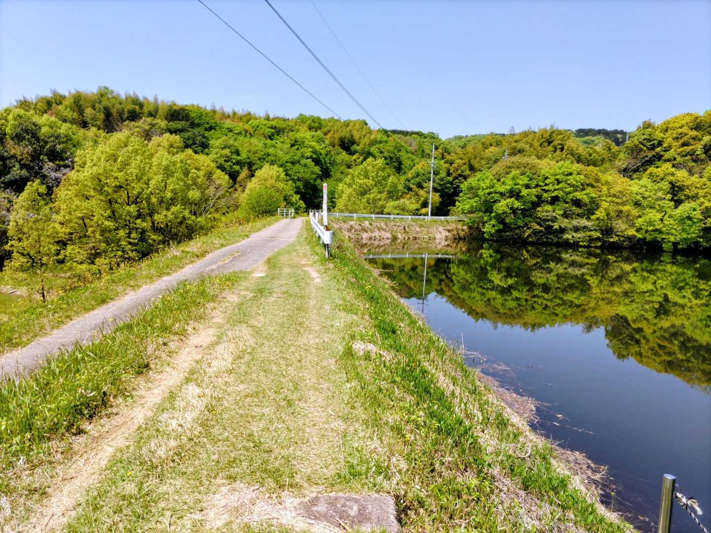 最初はこんな道