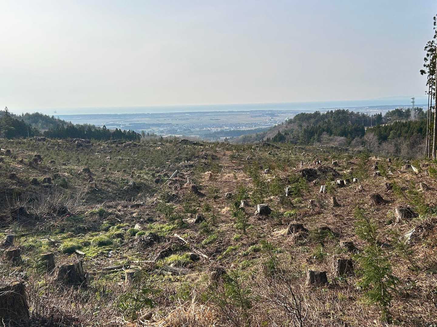 高坪山-虚空蔵峰 周回コースの写真