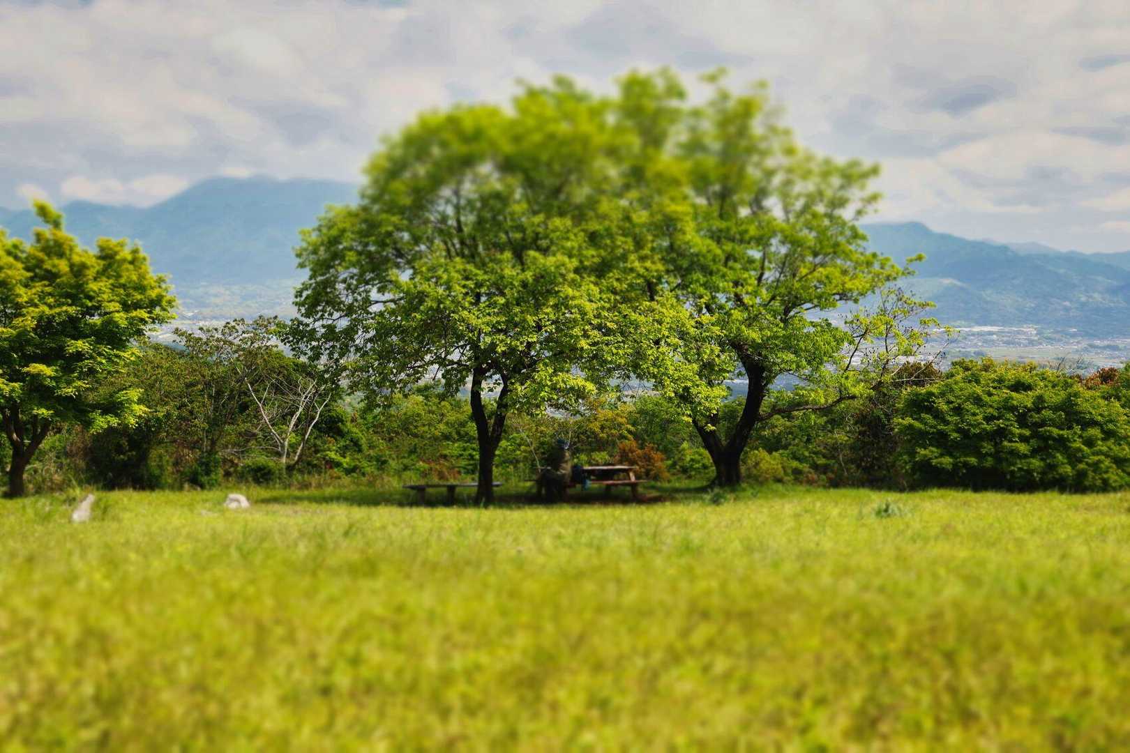 大山-関の山 往復コースの写真