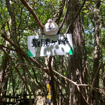 最勝ヶ峰の頂上はお墓の裏でした
お墓の右側の木道は立ち入り禁止🚧
迂回路が更に右側にあるのでそちらから行けました