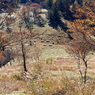 下に雁峠