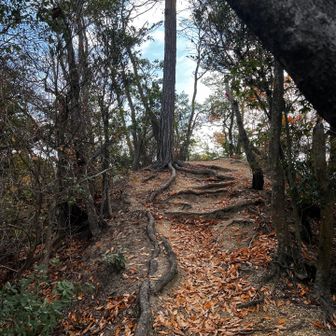 39　大谷山　266.4m
No.9