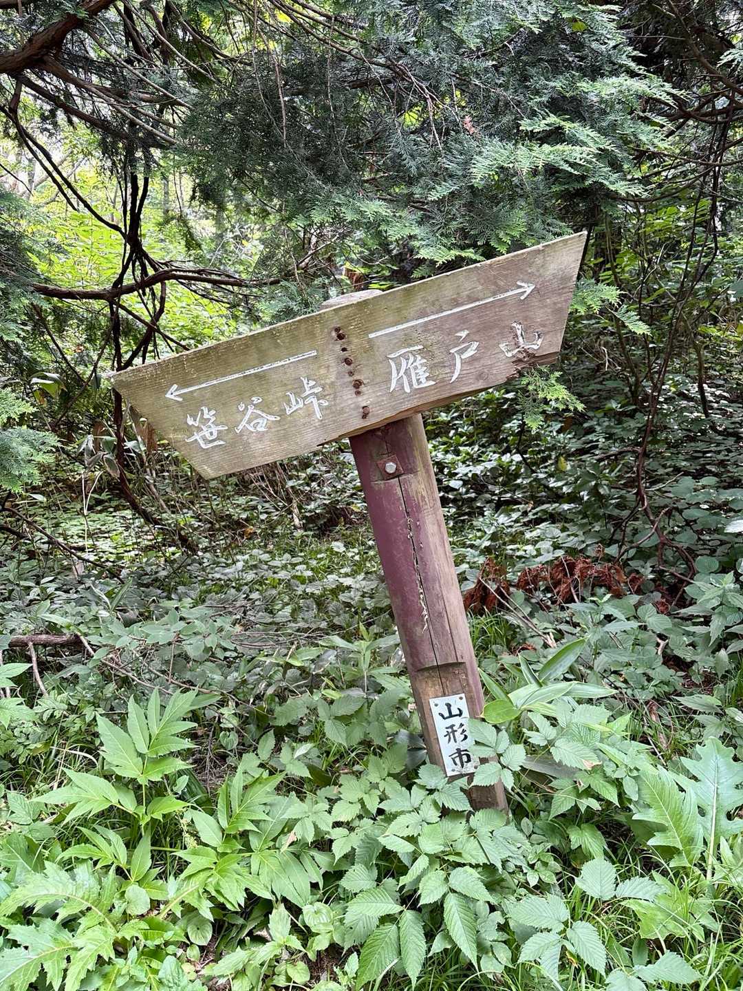 雁戸ってノコギリ🪚の刃の事らしく、ギザギザした急峻な山容を例えた名前みたい。