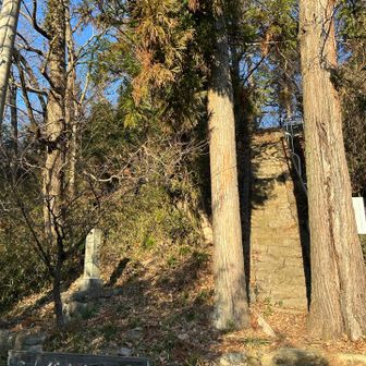 山頂を目指します♪