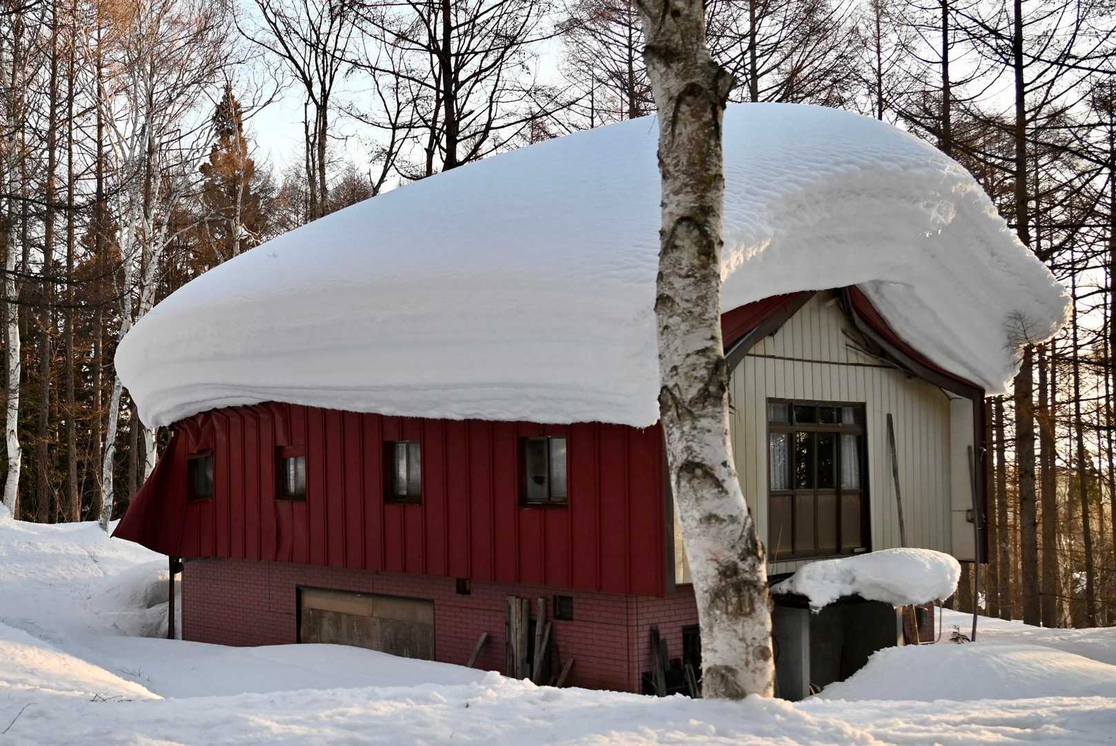 最初は緩やかな林道っぽい登山道を歩きます

屋根に積もった雪のせいで家が壊れているよ

この日の時点で斑尾高原の積雪量は約300cmも
あるらしい