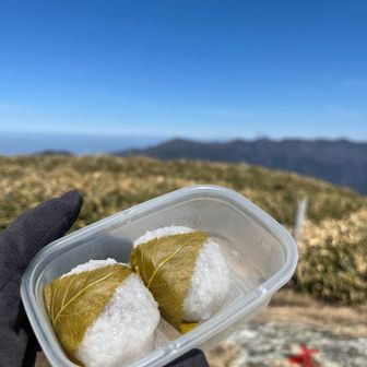 桜餅。葉っぱも美味しい😋