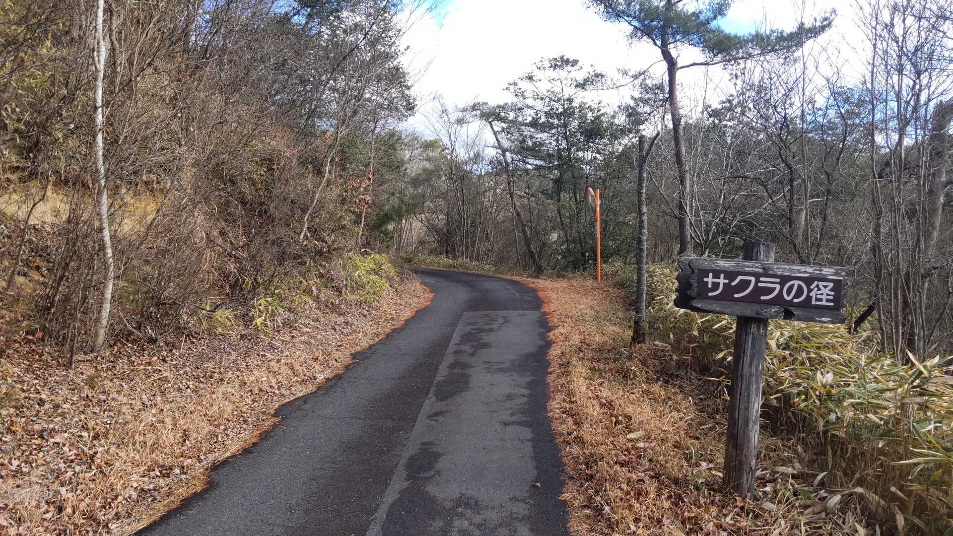 ぜんぜん車でも行ける舗装道路
これは、もしかして、、、