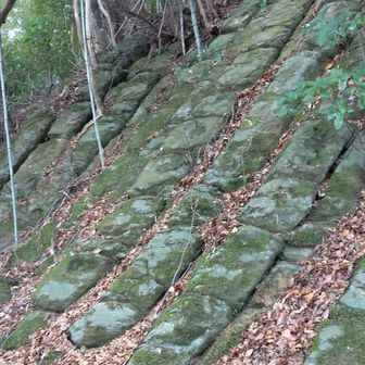 柱石(はしらいし)
約二千万年前の噴火によりできた柱状節理。これがこの山城の防御の役目も担っていたようだ。
ここで枯れ木に躓いてコケた。左手めっちゃ痛かった😣
これでテンション下がって高丸山へは行くのやめて帰ることにした😟
恐るべし冨山(山中)要害山！
