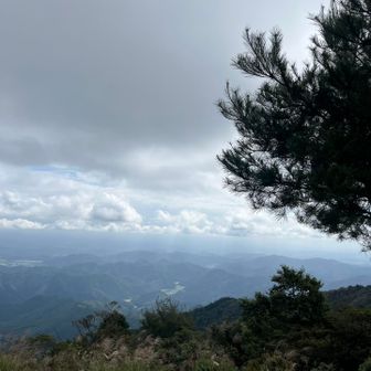 いつものごとく、山頂着いたら曇天🌥️