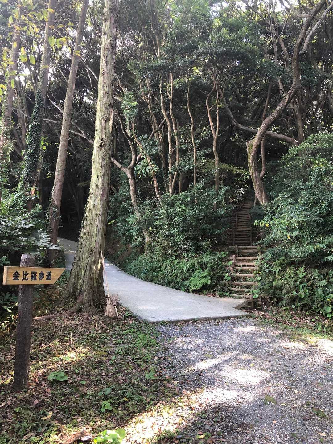 右でも左でも大丈夫🙆‍♀️