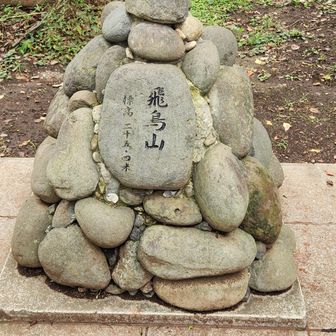 飛鳥山。これほど立派な山頂標はそうそうないと思いました。