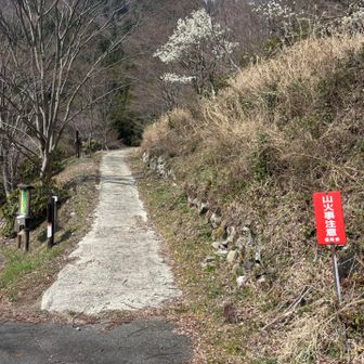 無事に下山できました🙌
いやぁ　
今日は足に来たよ…
迷わず怪我せず降りれたことを
お釈迦さまに感謝します！！