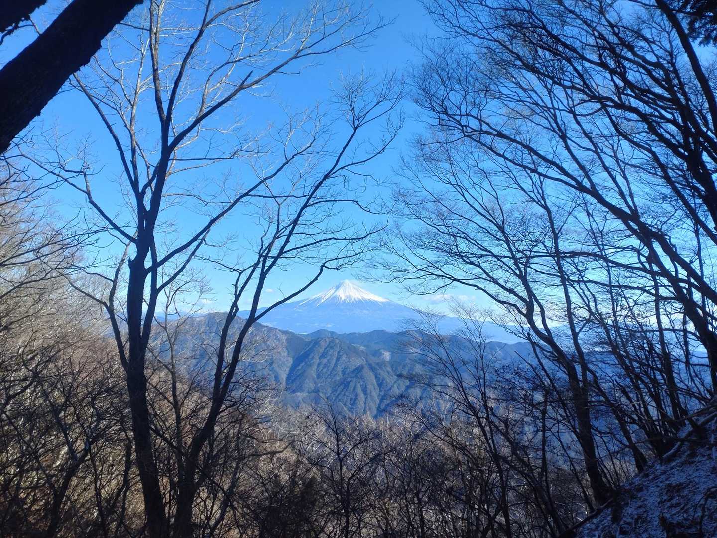 富士山ビューポイント🗻