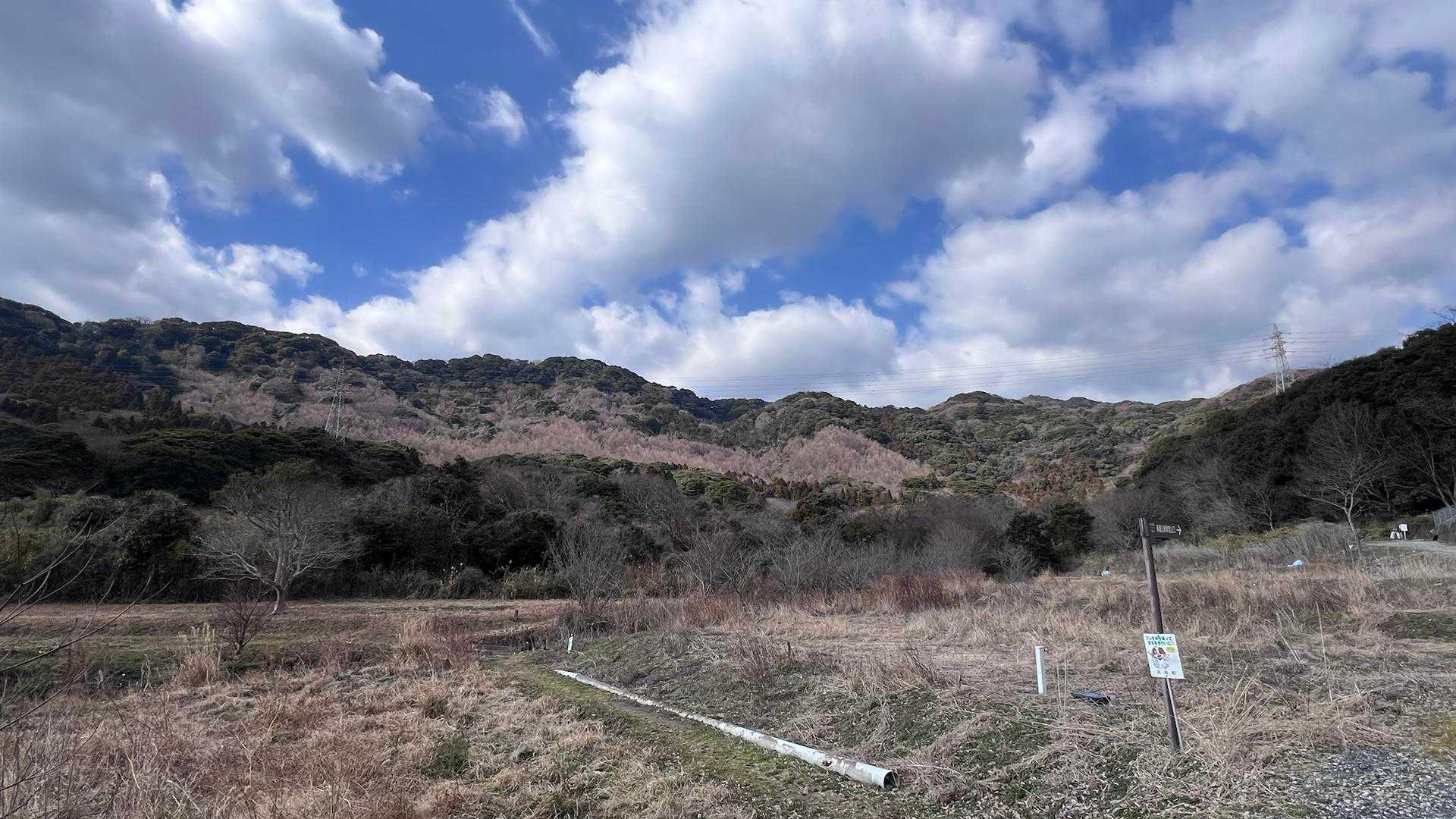 おばせ里山5連峰の縦走路が見えます。