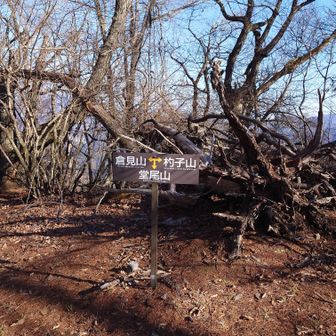 なるほど...で、ここはどこ？
山頂標識が見つかりません😅