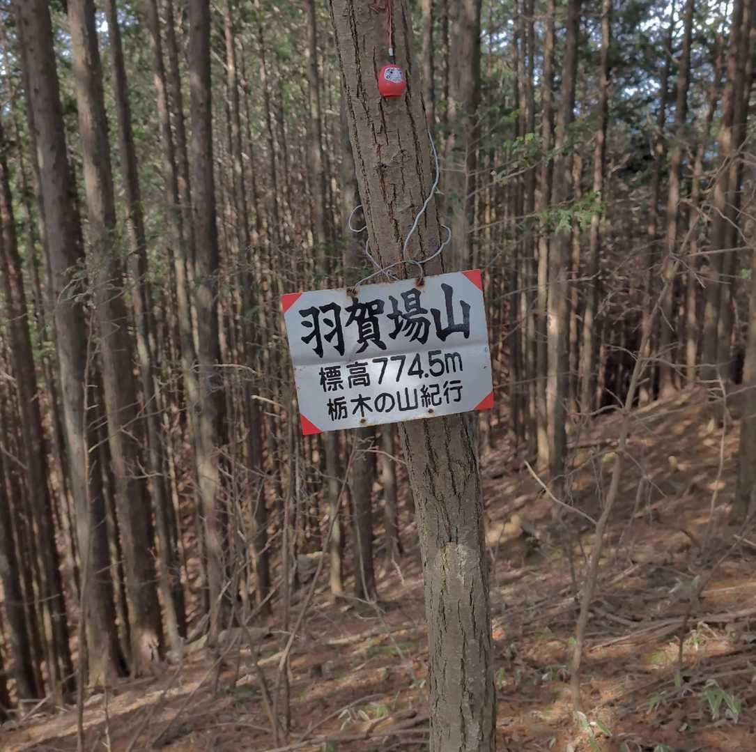 羽賀場山山頂