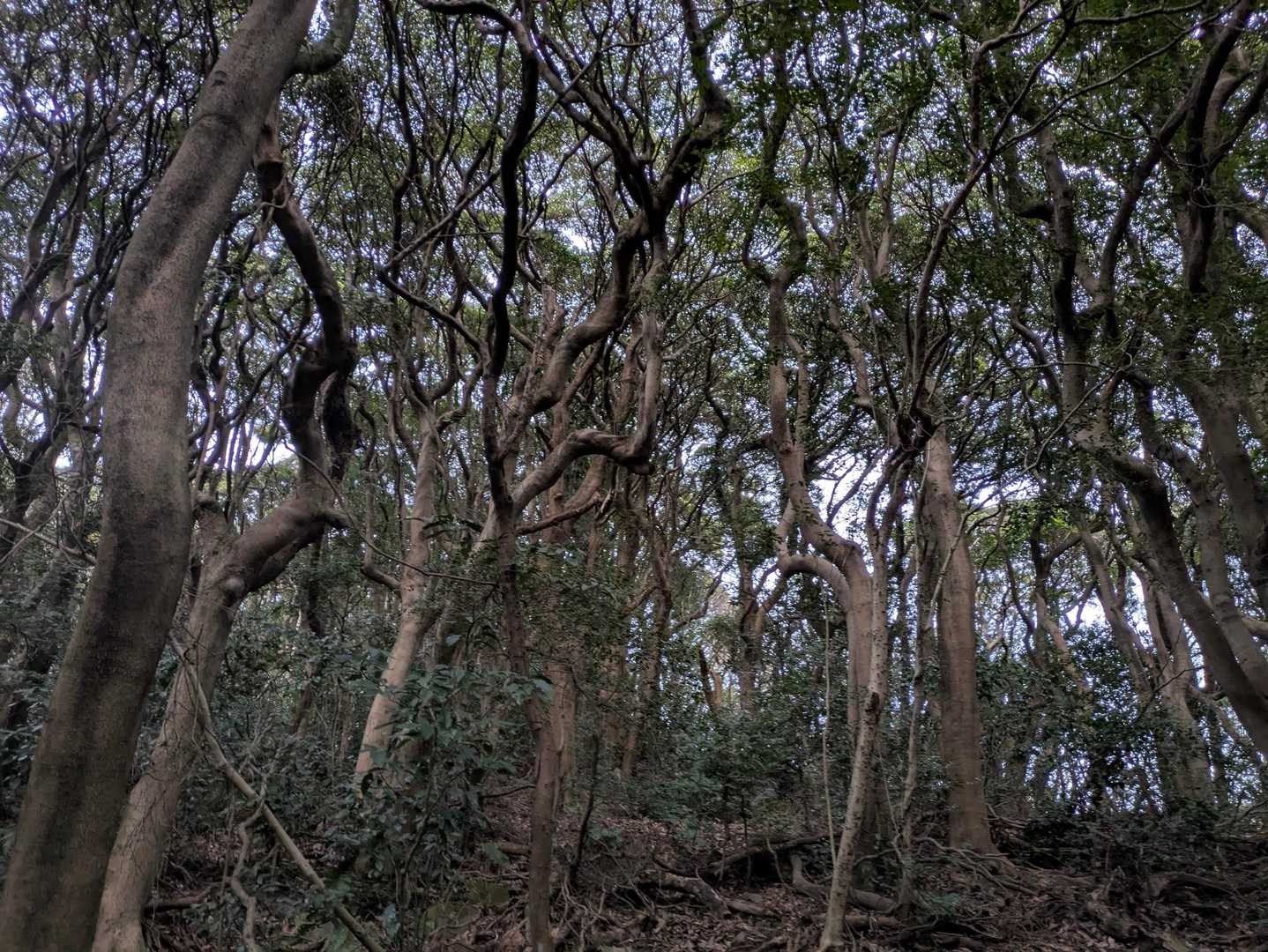 まだまだ明るいので余裕〜