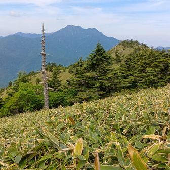 石鎚山がお出迎え
