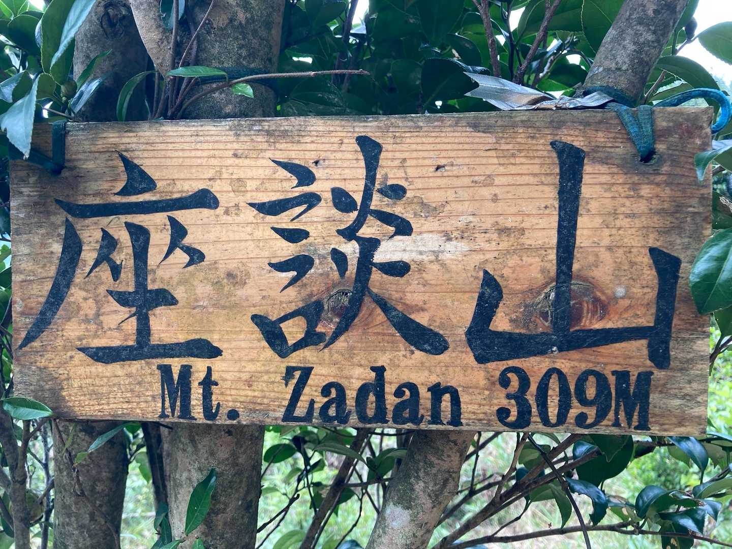 二川自然歩道入口-東山-座談山-葦毛湿原-葦毛湿原・岩崎自 縦走コースの写真