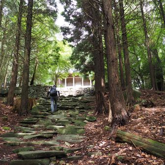 傾斜が緩やかになると、上宮が見えてきた⛩️