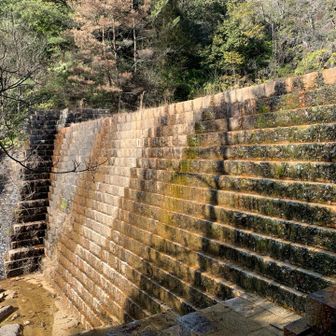階段状の堰堤
タミーはロープつけて登りたがってる😁