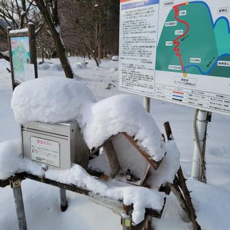 けっこう雪が降りましたね