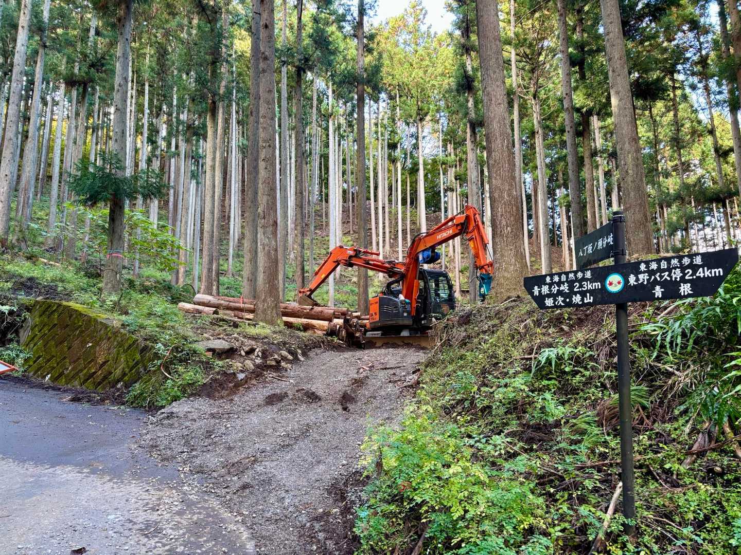 釜立林道（青根）-姫次-蛭ヶ岳 往復コースの写真