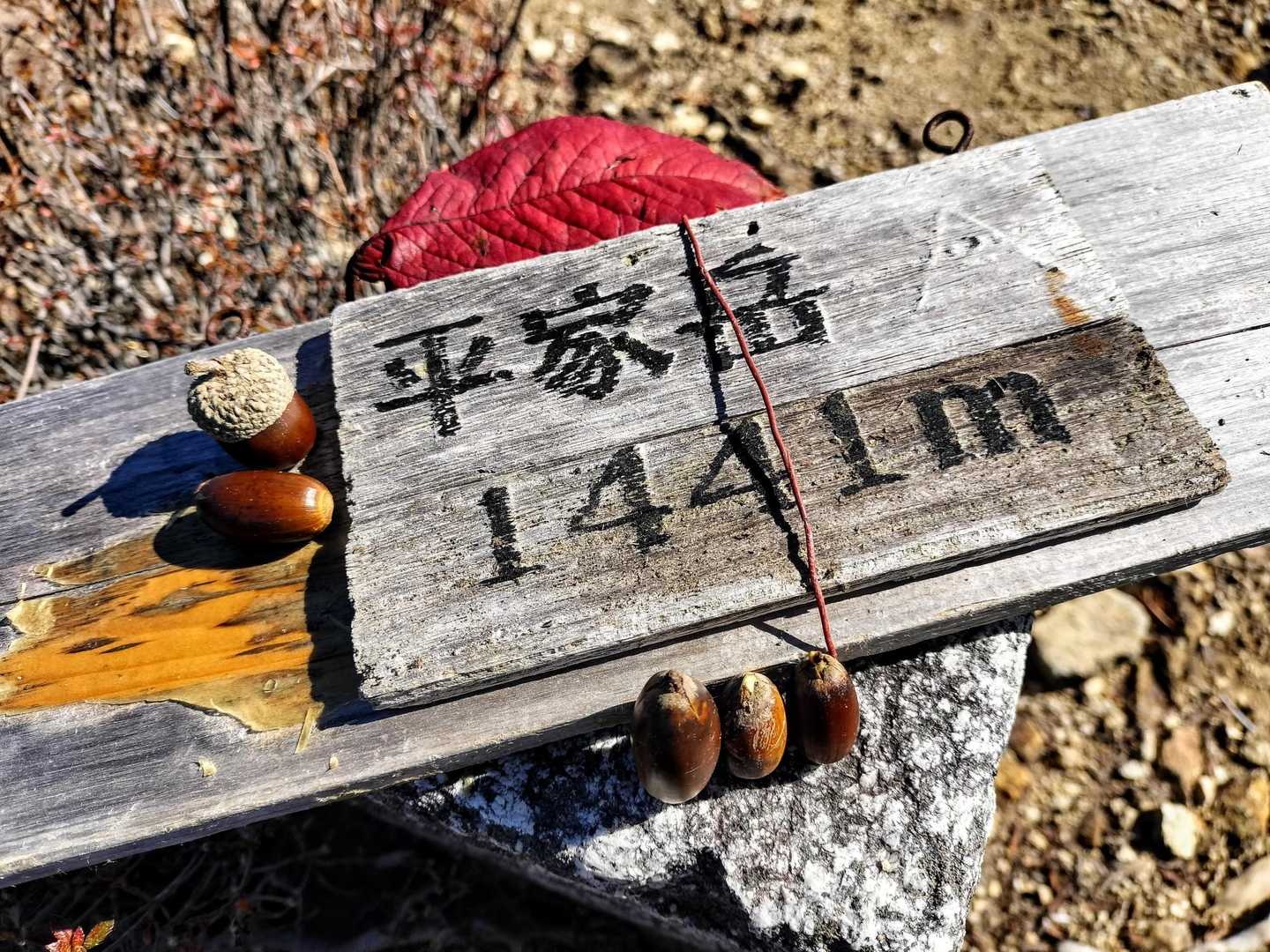 飛び散ってた山名札を修復
拾い集めたどんぐり添えて
