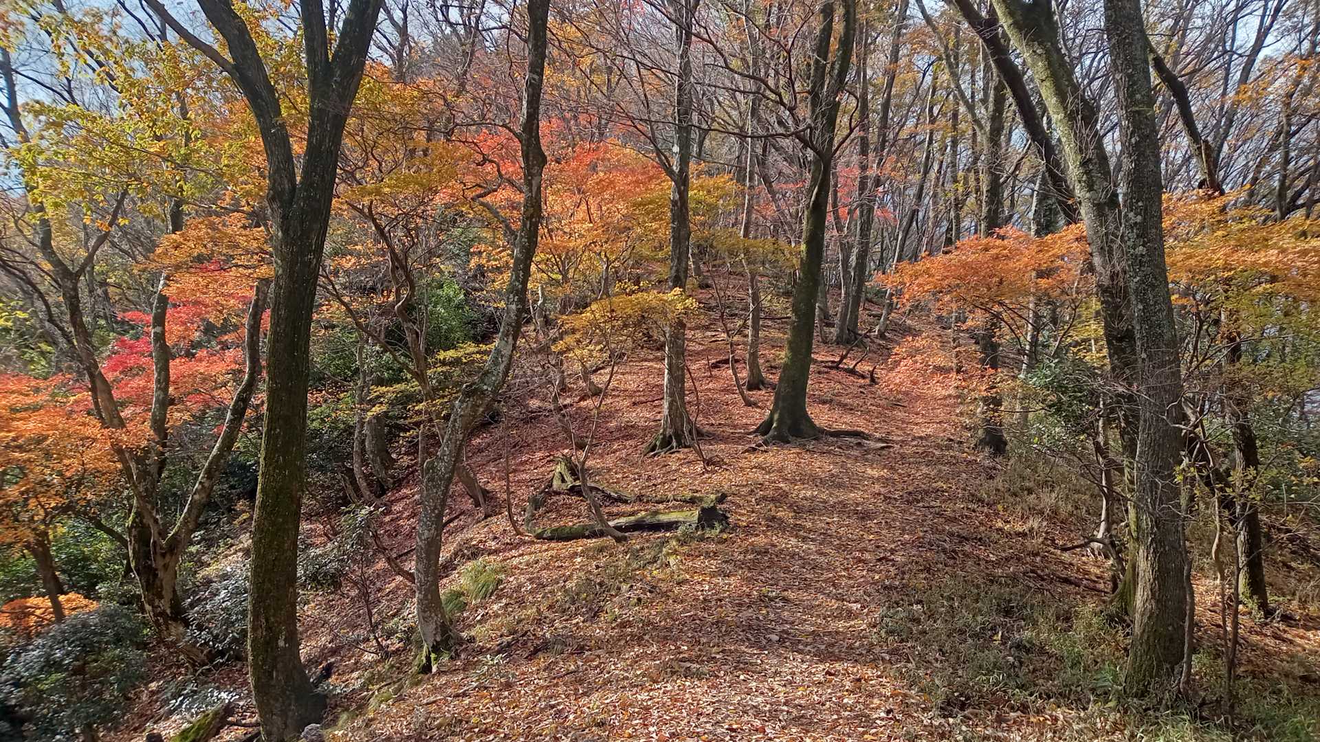 山本山-熊野越-西野峠-西野山-湖北丸山-賤ヶ岳-賤ヶ岳登 縦走コースの写真