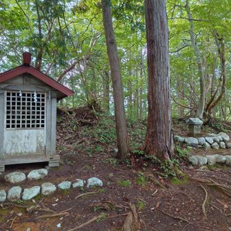 主郭になるヤマップピークには祠がありました。
秋葉社と三尺坊の祠のようです。