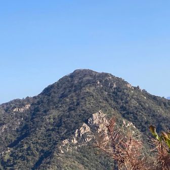 向こうにそびえるは右田さん