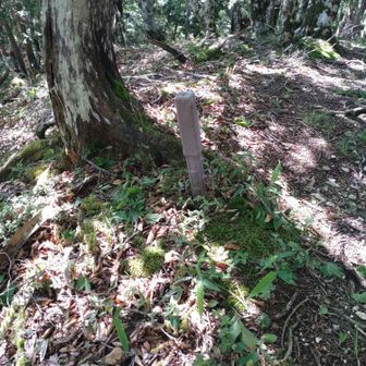 看板が見当たらなかったけど水無山