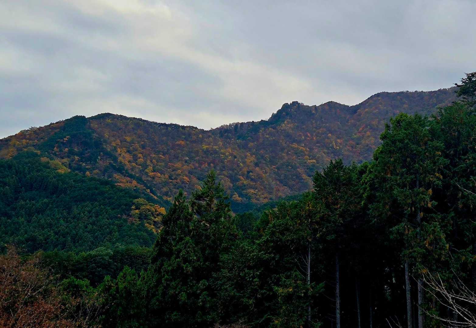 【蕨山】かな？
山腹の紅葉🍁💛がきれいです😊