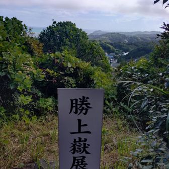 建長寺の上です
階段降りると拝観料500円かかるので降りませんよ😊