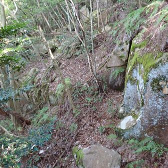 急降下の後は急登。是登山鉄則也。