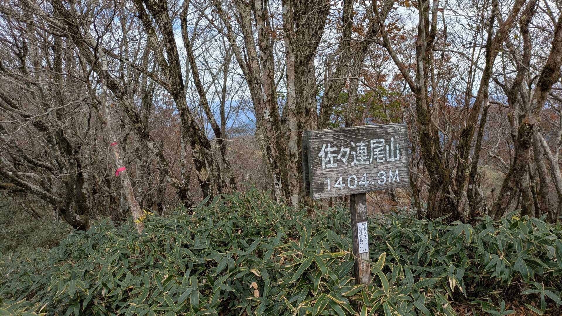 頂上手前で女性一人、頂上降りる時に男性一人が今日の登山者です。
