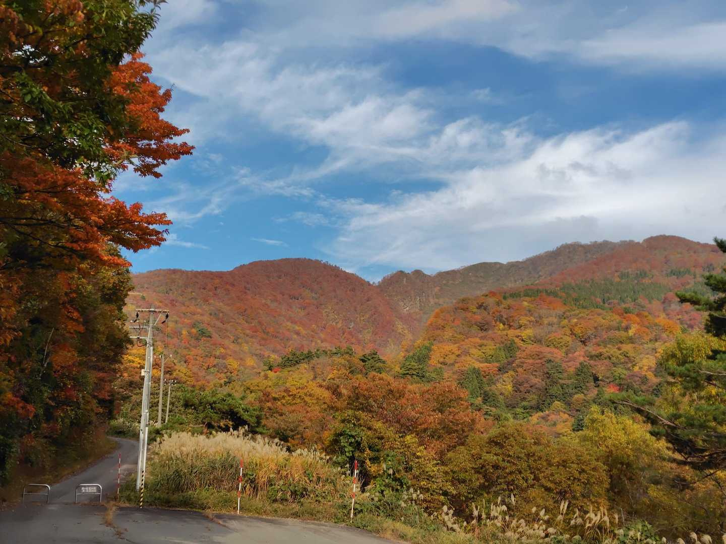 今日1日 楽しめました🍁

ありがとうございました🍀