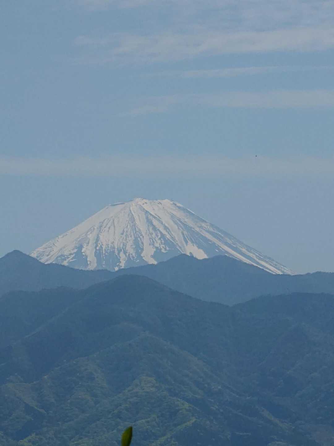 要害山-岩堂峠-深草山-大蔵経寺山 縦走コースの写真