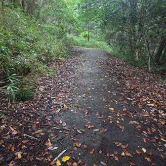 のぼり口はこんなところを登って行く