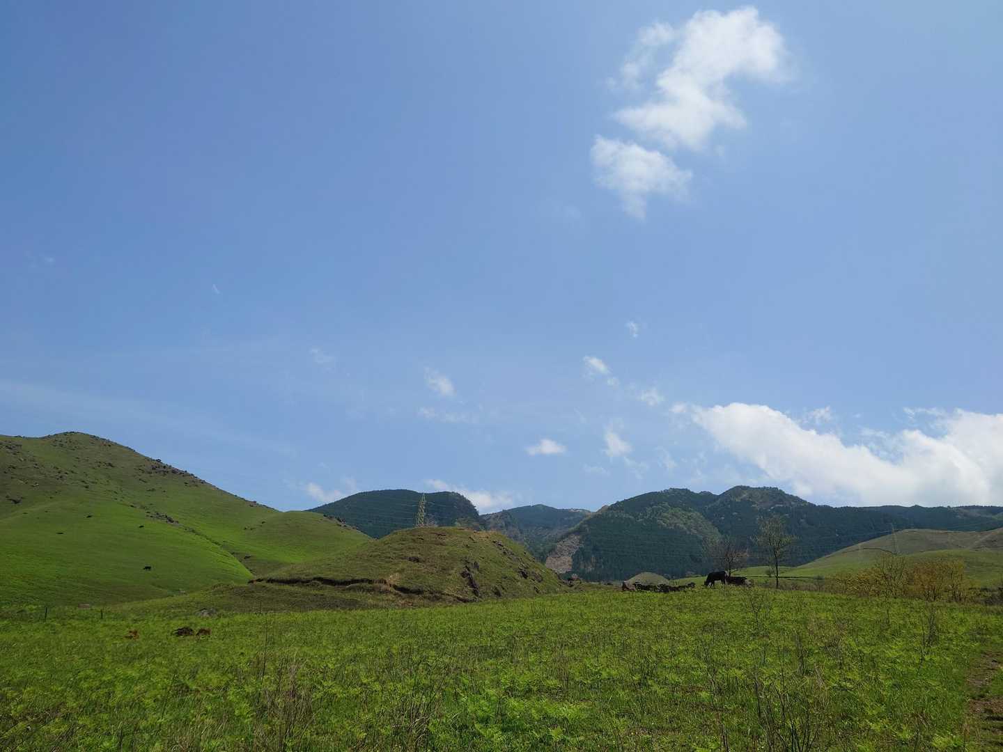 牛にお別れして🐂
お疲れ山でした⛰️