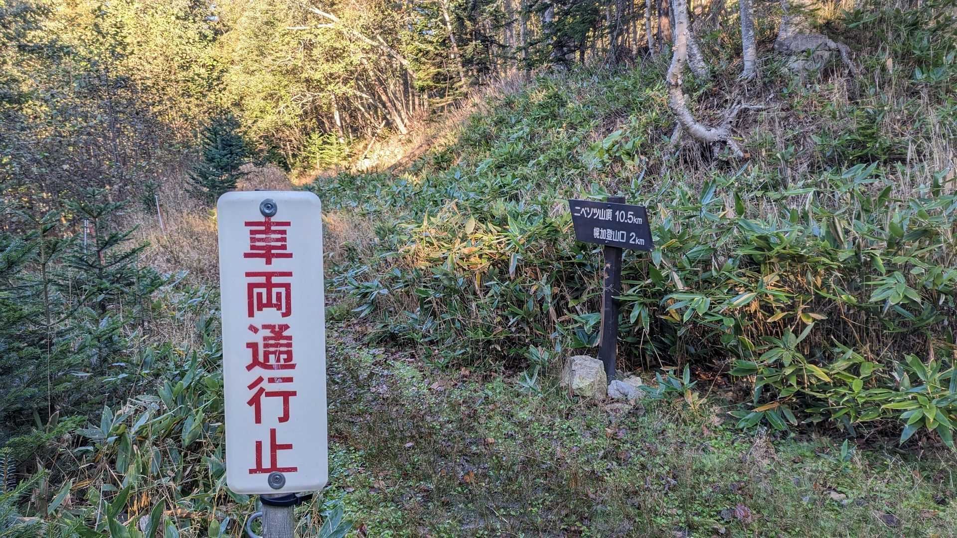 登山道が始まる