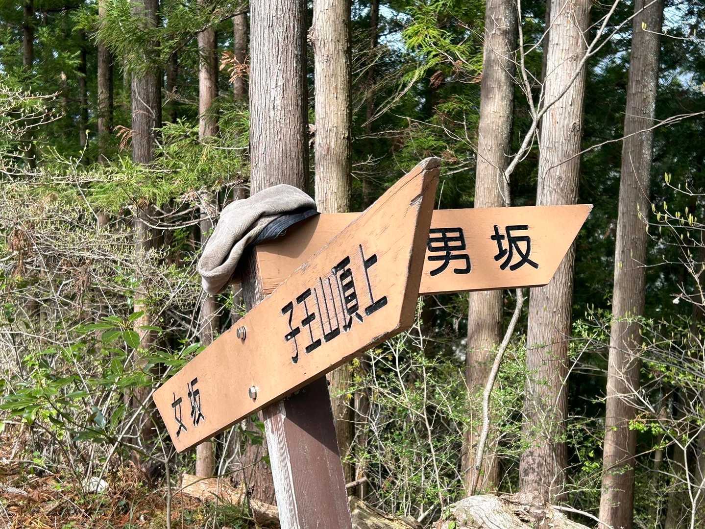 分岐